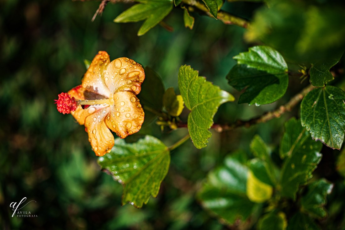 F95A31D2-5384-49D5-AAEE-76C37907B92C