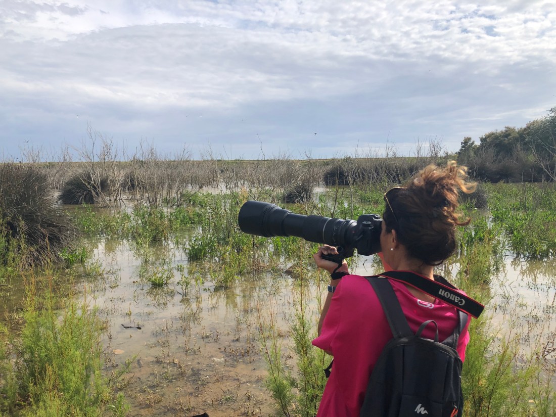 FFF272C7-E546-4BBF-8B8A-2F5F836437C9